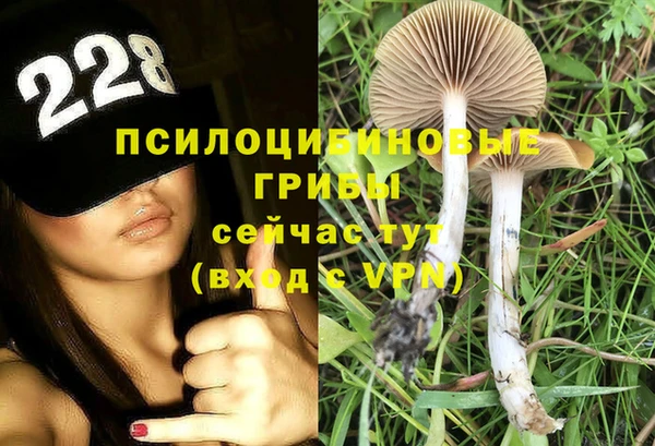метамфетамин Алексеевка