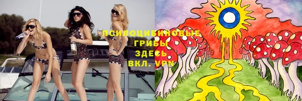 герыч Алексин