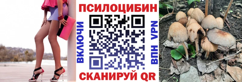 Псилоцибиновые грибы MAGIC MUSHROOMS Черноголовка